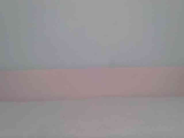 vmibabyy webcam