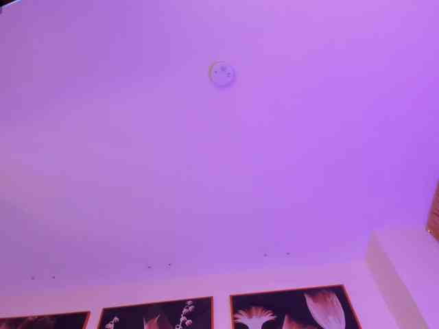 MiaFarrell webcam