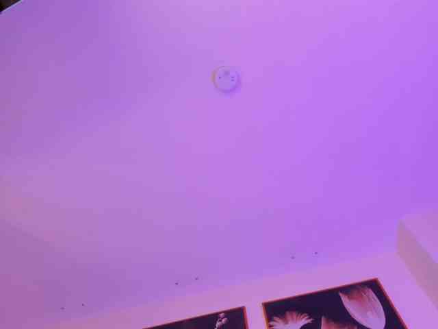 MiaFarrell webcam