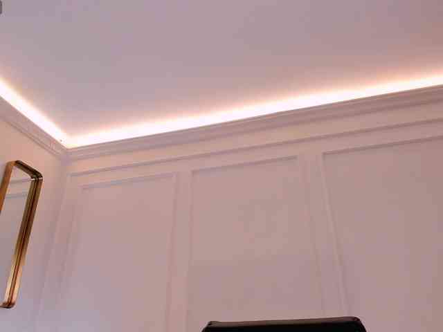 Modelo: BellaCarteer