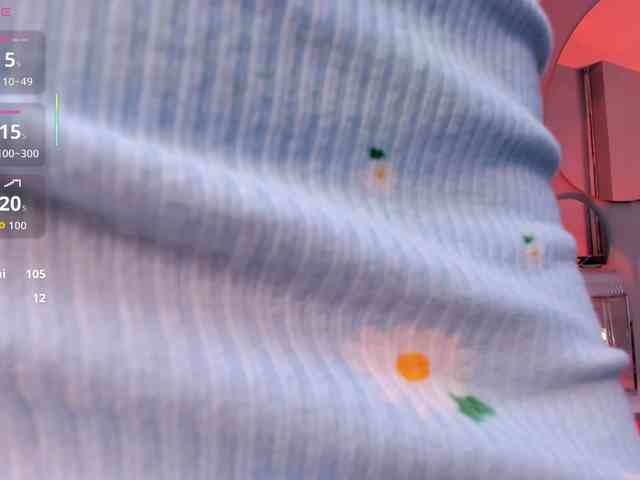 BellaCarteer webcam