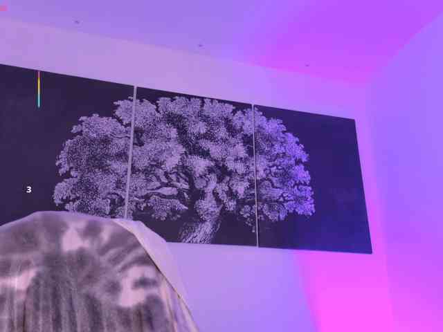 BellaCarteer