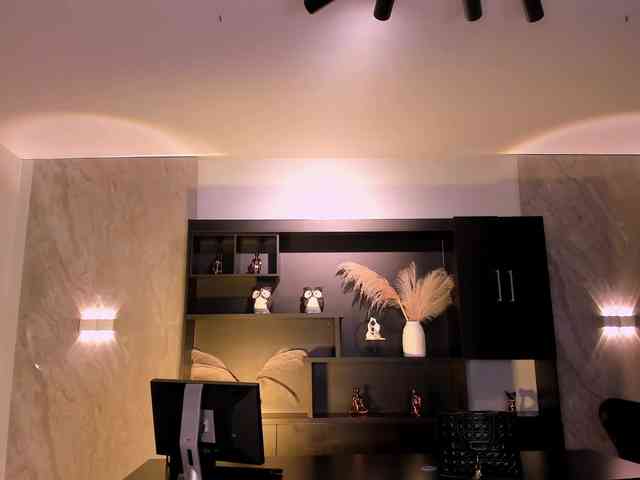 BellaCarteer