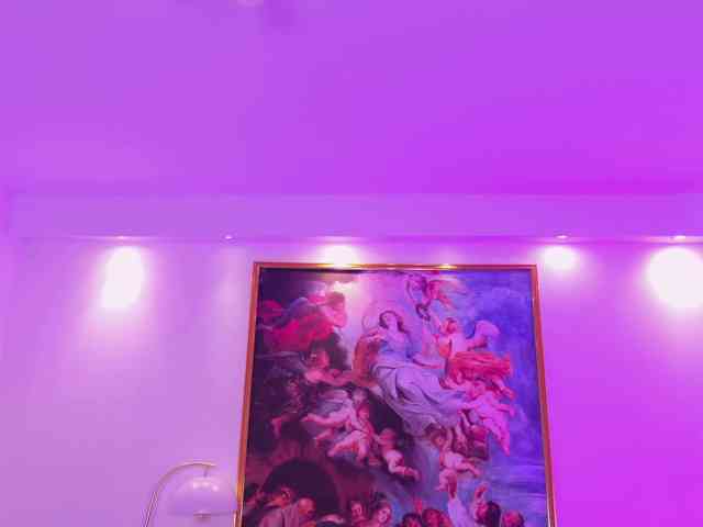BellaCarteer BellaCarteer