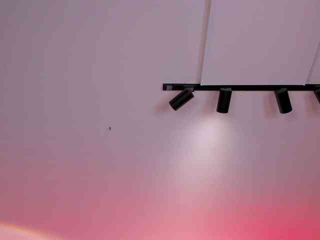 BellaCarteer webcam