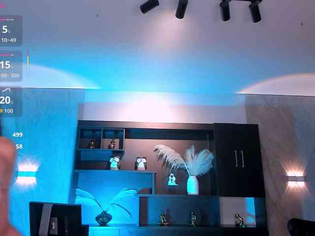 BellaCarteer