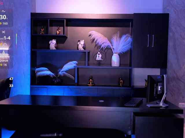 BellaCarteer