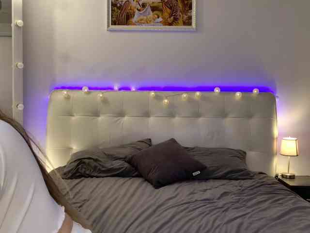 franksalise live show