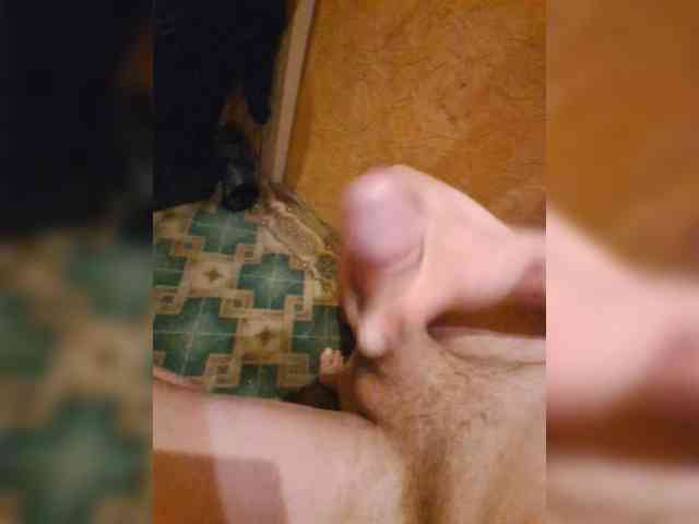 Romarioo