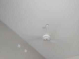 Camdolie's Live Webcam