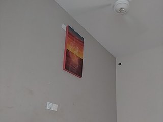 Camdolie Porn Show