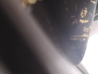 Camdolie Porn Show