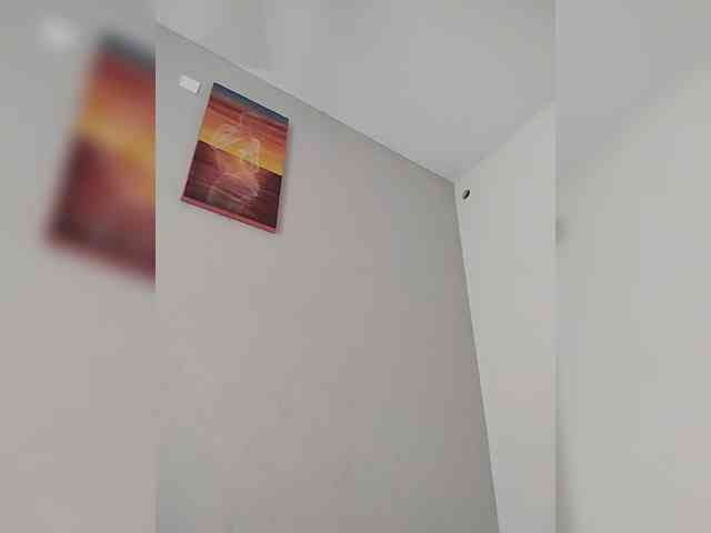 Camdolie webcam