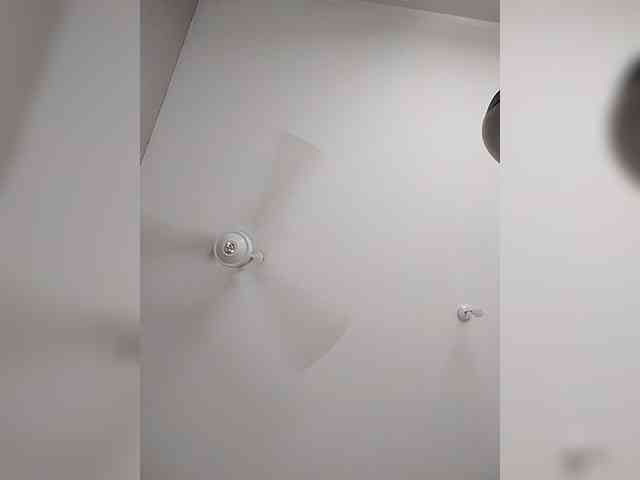 Camdolie webcam