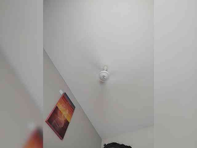 Camdolie webcam