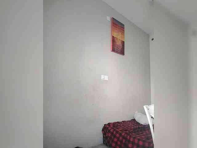 Camdolie webcam