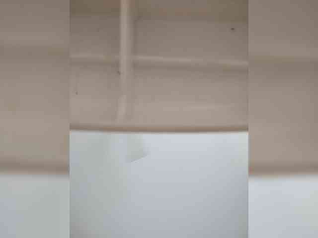 Camdolie webcam