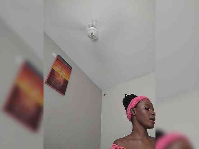Camdolie webcam