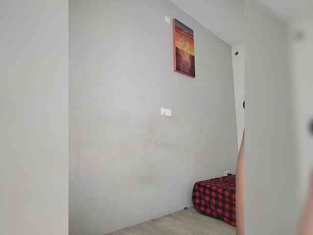 Camdolie webcam