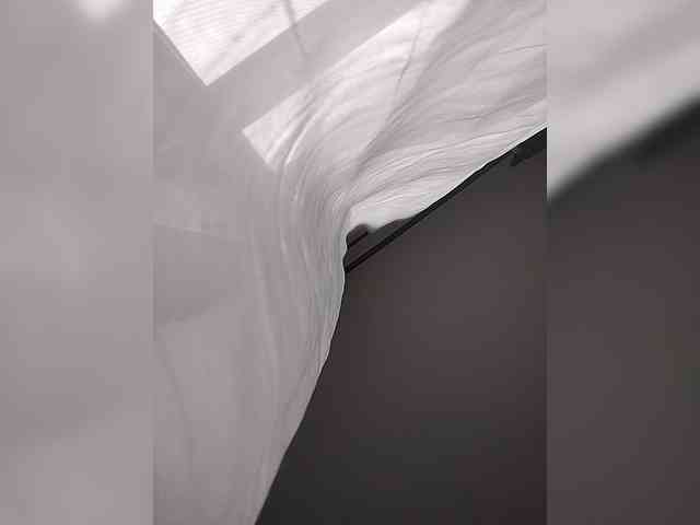 Camdolie webcam