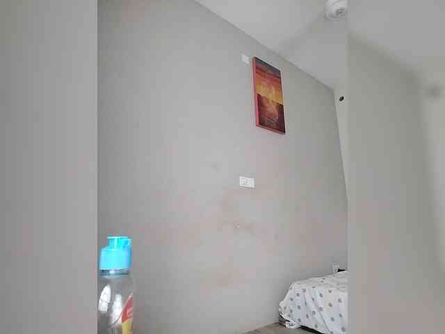 Camdolie webcam