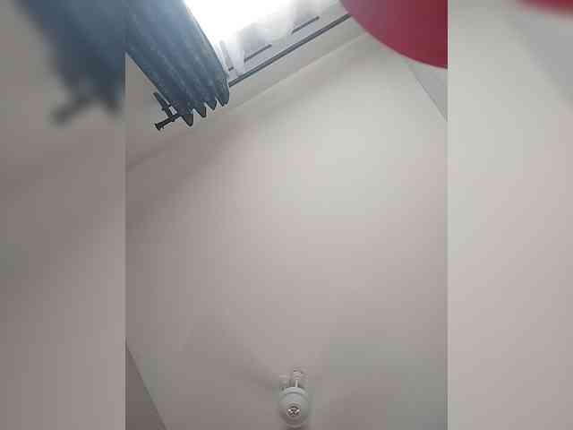 Camdolie webcam