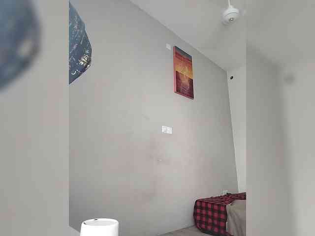 Camdolie webcam
