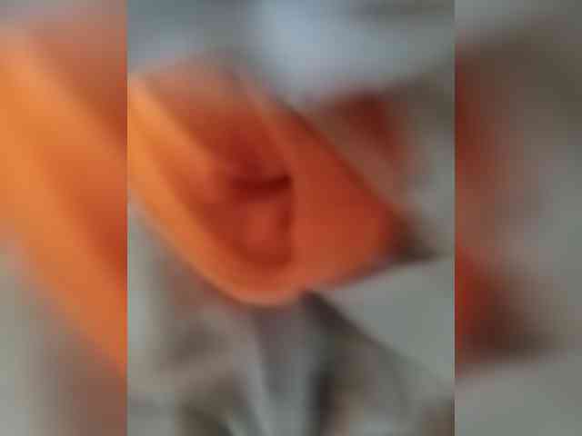 Camdolie webcam