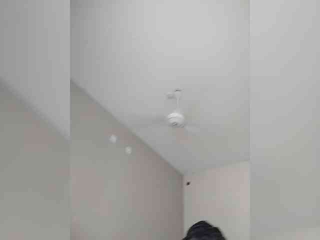 Camdolie webcam