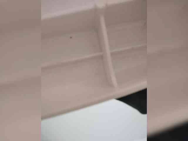 Camdolie webcam
