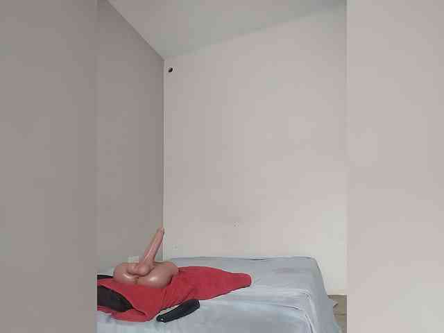 Camdolie webcam