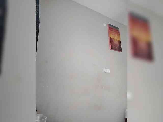 Camdolie webcam