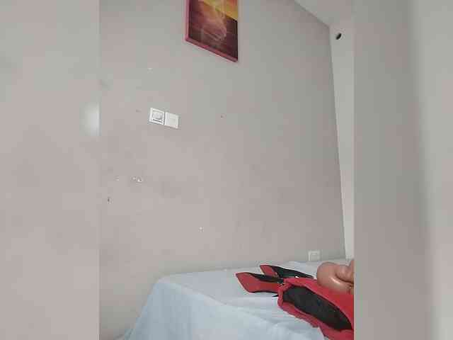 Camdolie webcam
