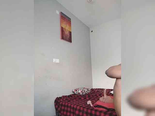 Camdolie webcam