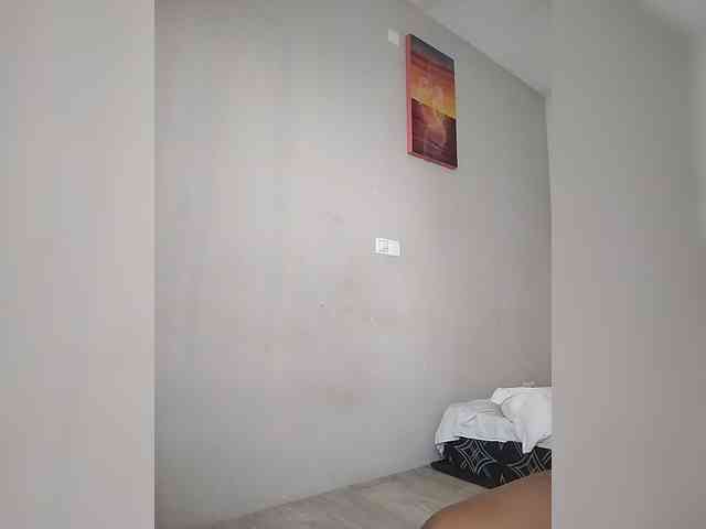 Camdolie webcam