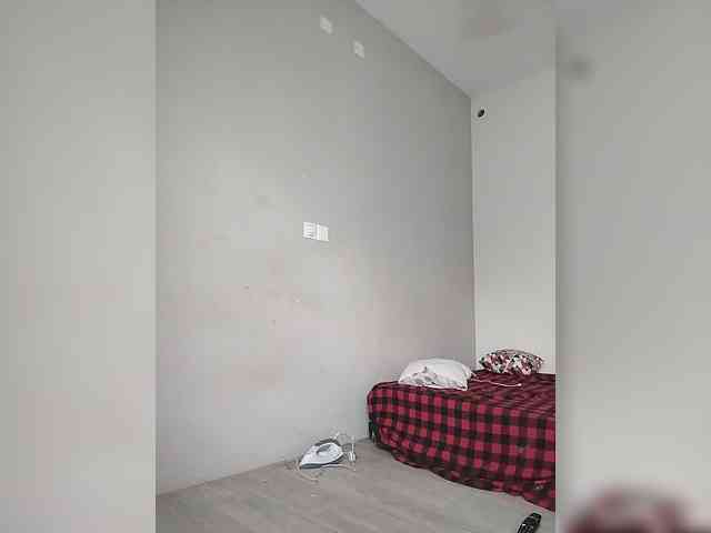 Camdolie webcam