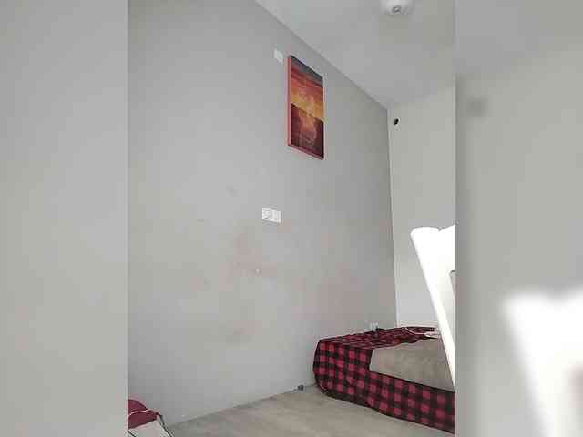 Camdolie webcam