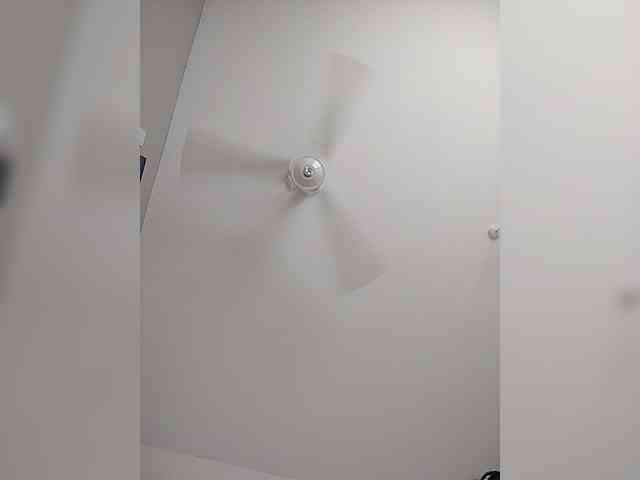 Camdolie webcam