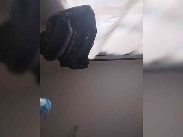 Camdolie webcam