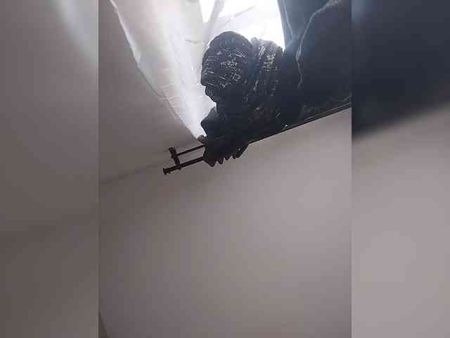 Camdolie webcam