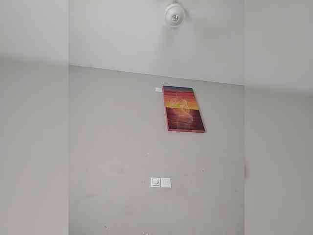Camdolie webcam