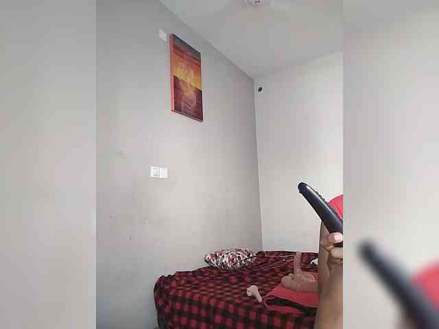 Camdolie webcam