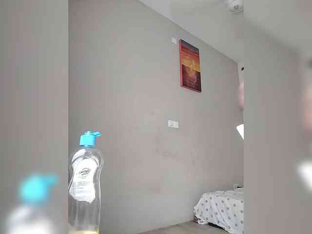 Camdolie webcam