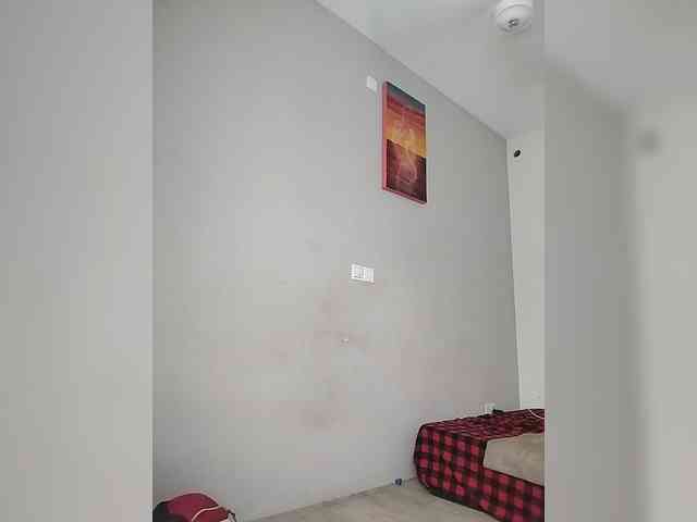 Camdolie webcam