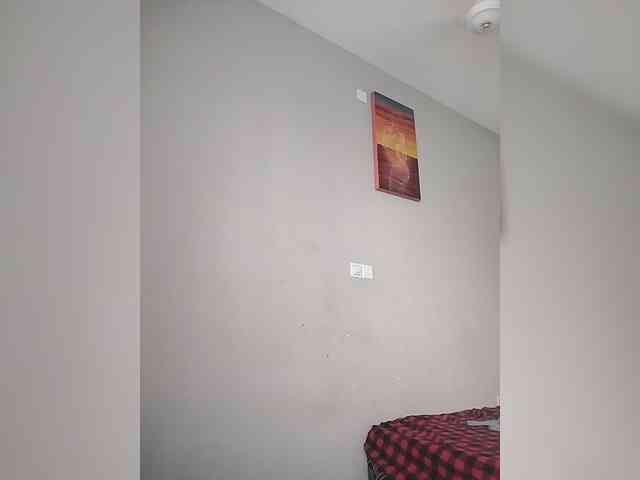Camdolie webcam