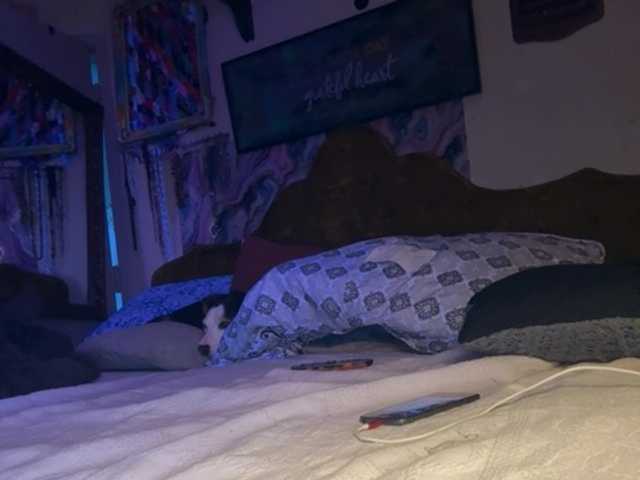Lostnalice live cam on BongaCams