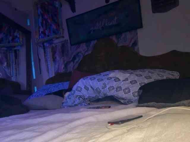 Lostnalice webcam