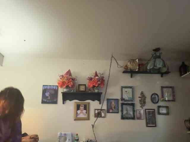 Lostnalice webcam