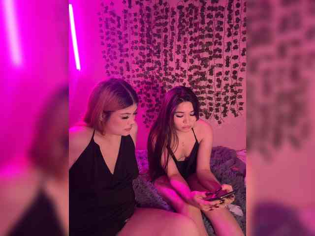 AliShali webcam