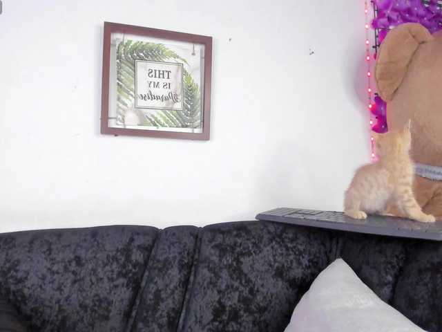 Zulema-parvin live cam on BongaCams